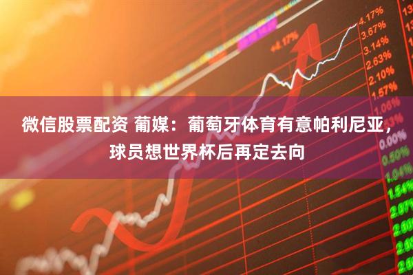 微信股票配资 葡媒：葡萄牙体育有意帕利尼亚，球员想世界杯后再定去向