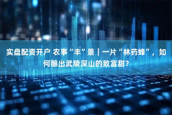实盘配资开户 农事“丰”景｜一片“林药蜂”，如何酿出武陵深山的致富甜？